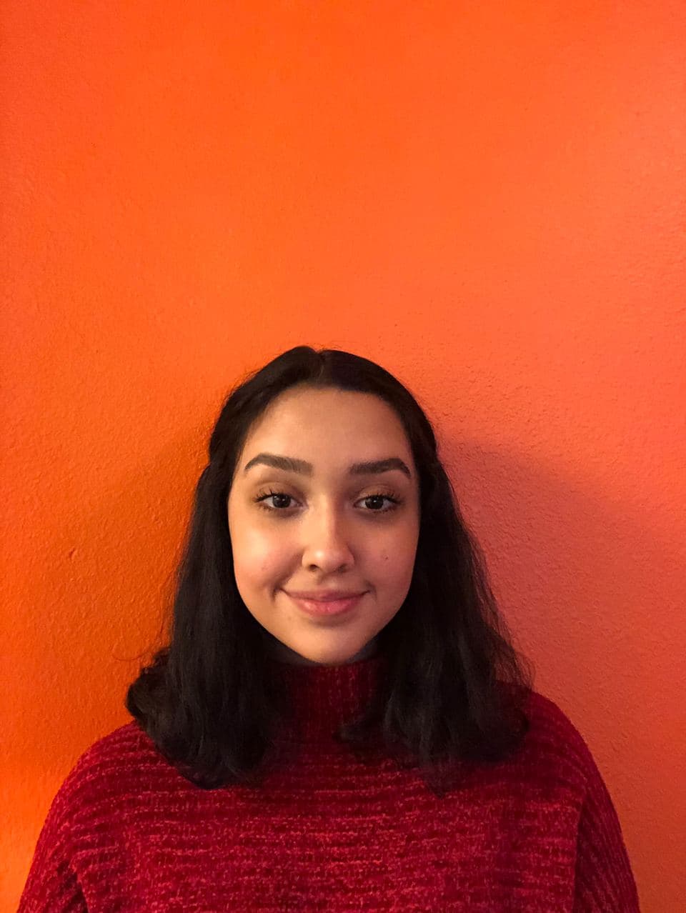 Vice President: Noora Safayipour